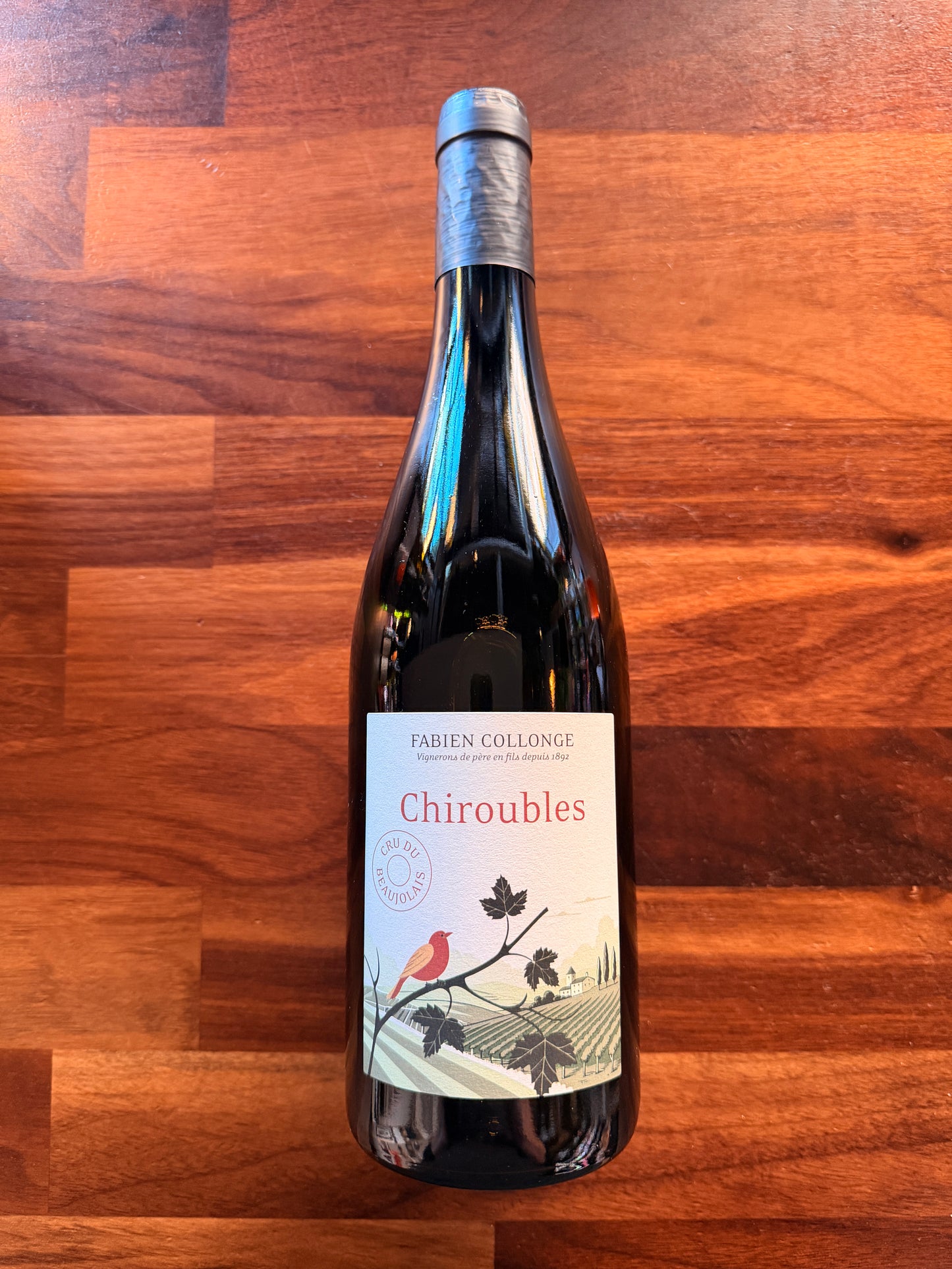 2024 Domaine Fabien Collonge Beaujolais France