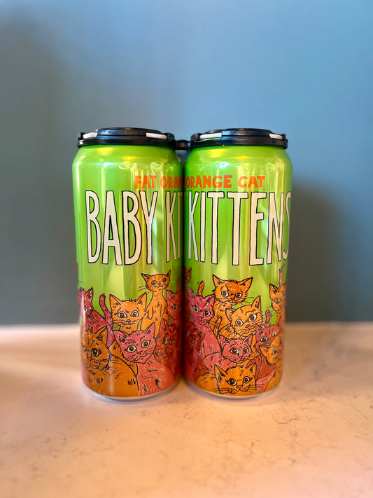 Fat Orange Cat Baby Kittens