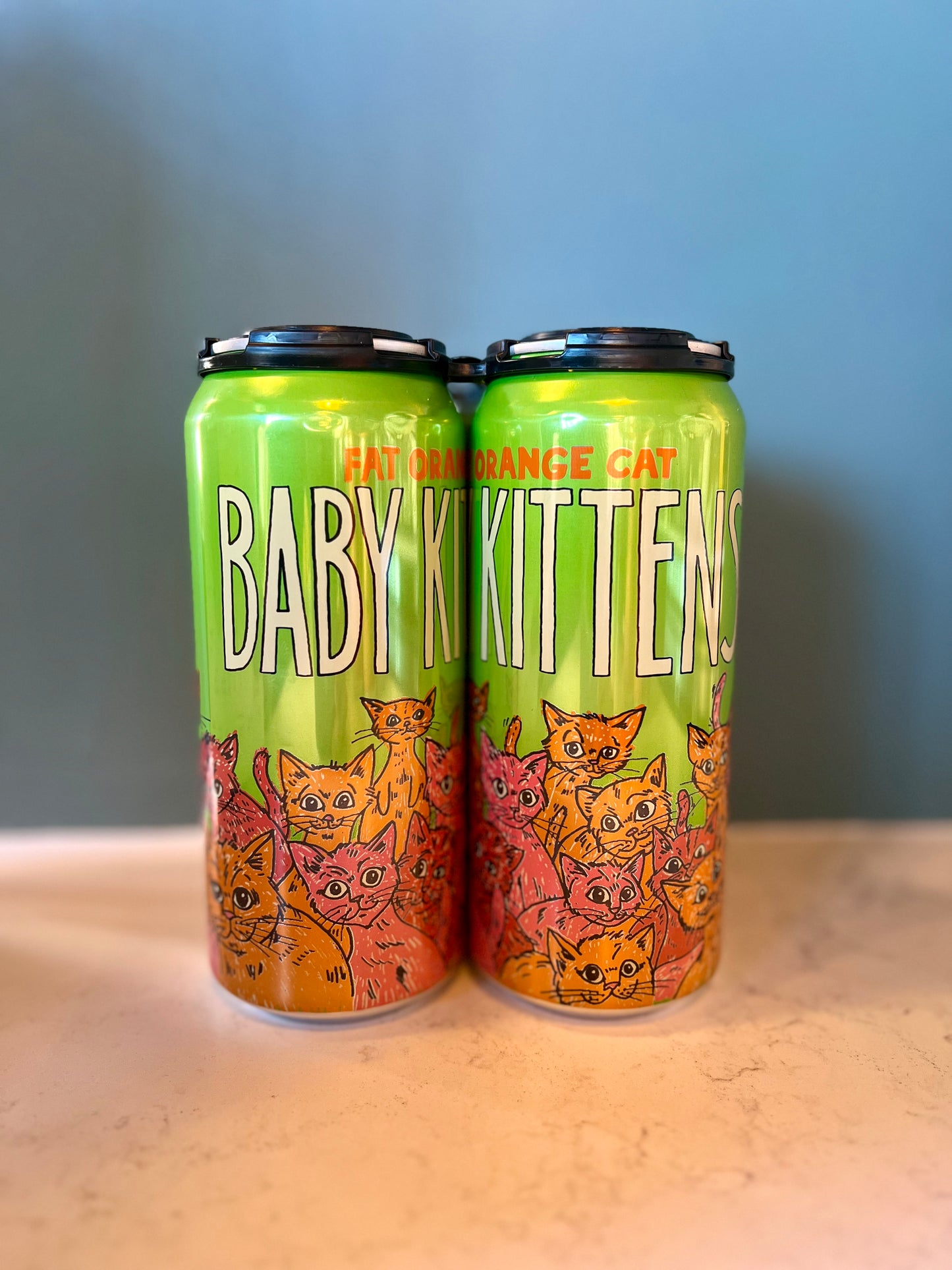 Fat Orange Cat Baby Kittens